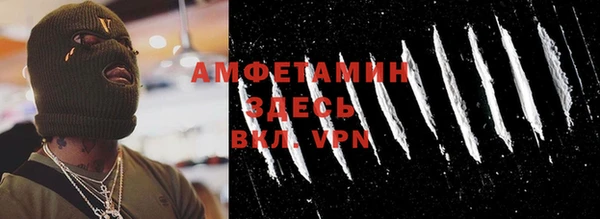 гашик Верея