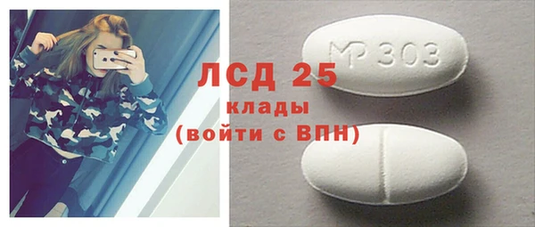 гашик Верея