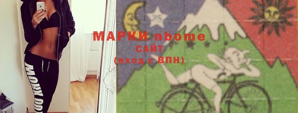 гашик Верея