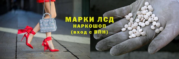 гашик Верея