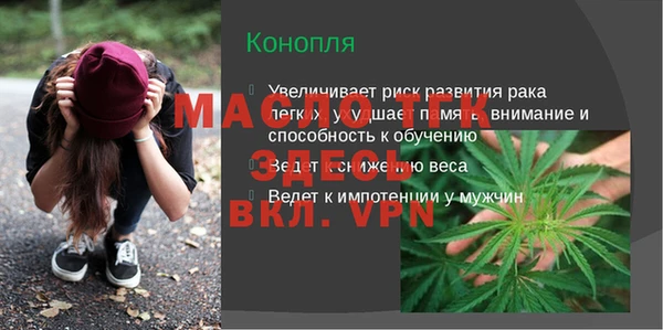 гашик Верея