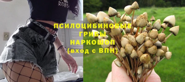 гашик Верея