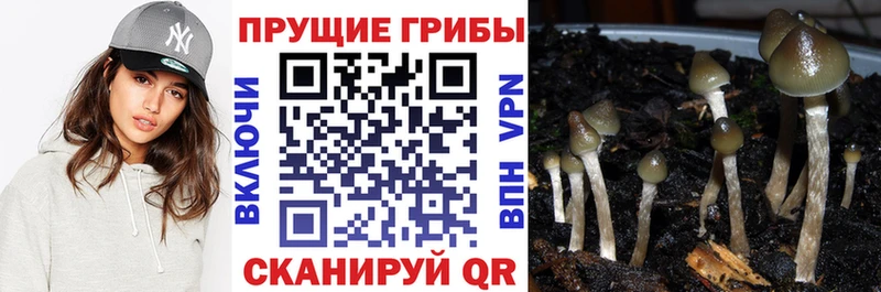 Галлюциногенные грибы мухоморы  Кострома 
